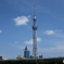 ビルに巨大なハトが！