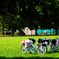 夏休みの公園..