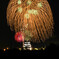 一夜の花が咲く　二