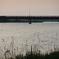 DSCF6746