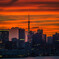 妖々しく空を染める夕焼けに覆われた東京タワーと芝浦方面の高層ビル群