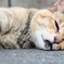 暑かったねー