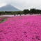 花と山