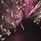 ＦＩＲＥＷＯＲＫＳ　14