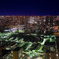 夜の築地市場