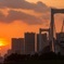 大都会東京で見える夕景