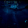 美ら海水族館