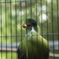 京都動物園