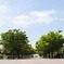 葛西臨海公園