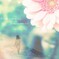  flower・・・～冒険心～
