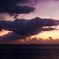 海竜