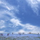 Blue Wind