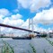 南浦大橋