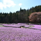 兵庫県　永澤寺