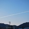 セパレイト・ブルー