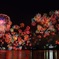 2016びわ湖花火大会8