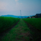 田んぼ道