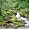 涼しそうな川5