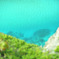 Kiwa