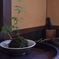 甘味茶屋