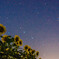 星空下の太陽