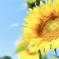 夏に負けない！
