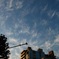 風の舞う空