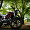 VTR250 b-style
