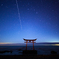 この星に