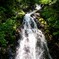 夏の滝