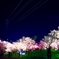 好環境な梅林公園