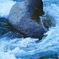 流れ