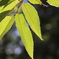 福島十六沼公園１