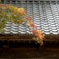 穂高神社にて