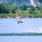 Water Sports