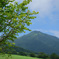 夏っていいな