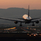 ☆夕暮れLanding