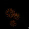 夜空の彼岸花