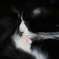 sleep