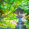 近くの神社