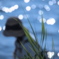 Lake side summer