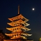 興福寺　五重の塔