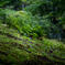 DSC05931-1