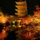 東寺_夜