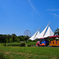 真夏の葛西臨海公園