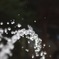 真夏には水は欠かせない。