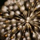 watage