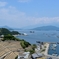 段々畑が見る海