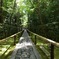 高桐院
