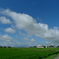 on the way back